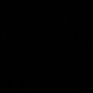 Meet your Posher, Logan